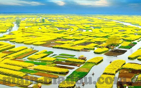 91麻豆免费看-揭开成人娱乐的灰色地带——明辨91麻豆免费看的真相