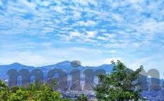 dopa最新麻豆视频-小花新作，Dopa最新麻豆视频的独特魅力探讨