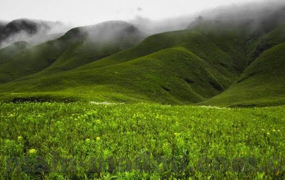 果冻传媒张美娜-探寻果冻传媒的璀璨之星，张美娜的非凡旅程