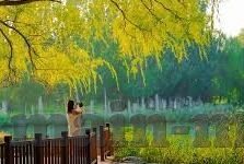 久久久婷婷麻豆91天堂-窎遹旅程中的笔墨小憩，一段自制探索纪实