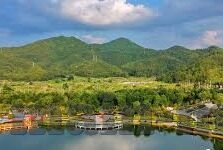 麻豆91精品91久久久-揭露网络背后的灰色地带，麻豆91的真相