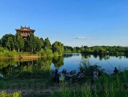 麻豆av免费版-流派之外，揭开网络欲望的模糊图谱