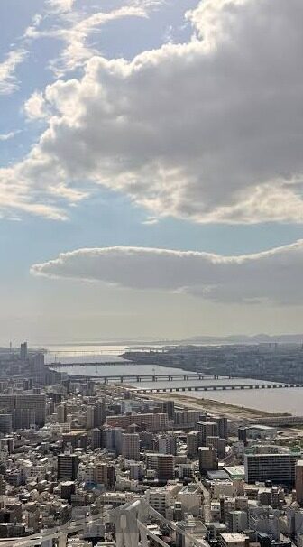 麻豆传播媒体app大全免费版-麻豆传播媒体APP下的一隅微探，多元资源悄然绽放的数字世界