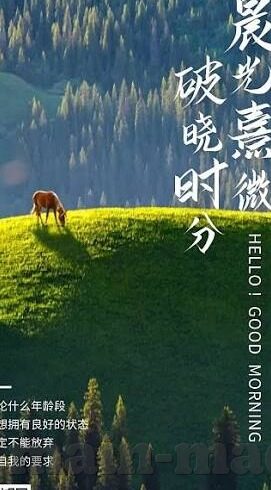 日韩国产精品一区二区av-探索日韩文化中的影视艺术，多元视角下的艺术表达与文化交流