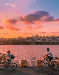 糖心vlog在线入口-糖心vlog，解锁线上的精彩生活窗口